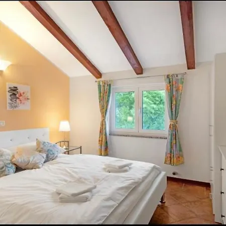 Petra Palace 로비니스코 셀로