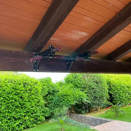 Petra Palace 로비니스코 셀로