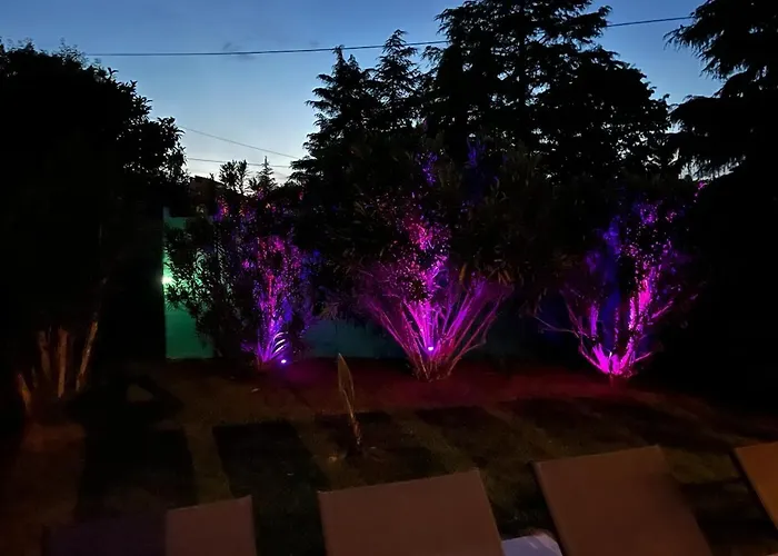 Petra Palace * Rovinjsko Selo